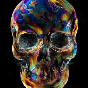 Meet your Posher, Thomas